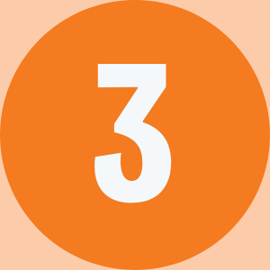 3 1