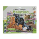 Royal and Langnickel Trouble In The Garden Paint by Numbers Set Image
