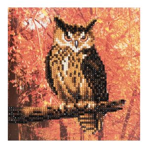Craft Buddy Autmumn Owl Crystal Art Card Kit