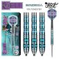 Shot Celt Boudicca Steel Tip Dart Set