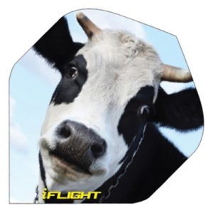 I-Flights -Cow - Image 1