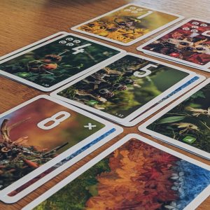 Pixies Card Game - Image 3