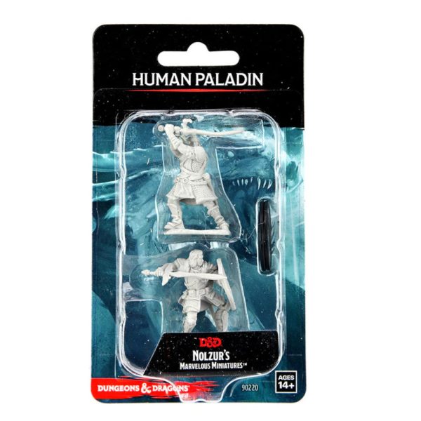 Human Paladin Image Mini