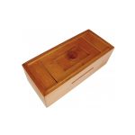 puzzle master Secret Opening Box - Button Bank