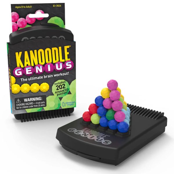 Kanoodle Genius Puzzler Image