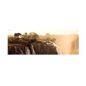 Heye Alexander von Humboldt: Elephant Puzzle Image