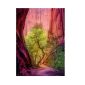 Heye Power of Nature: Singing Canyon Puzzle Image