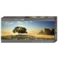 Heye Alexander von Humboldt Collection: Play Of Light Puzzle Box Image