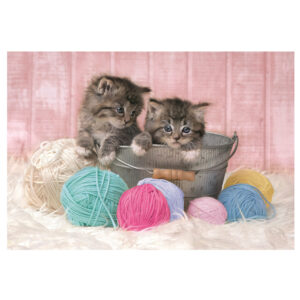 SWEET KITTENS 2