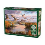 Cobble Hill Migration Puzzle Image
