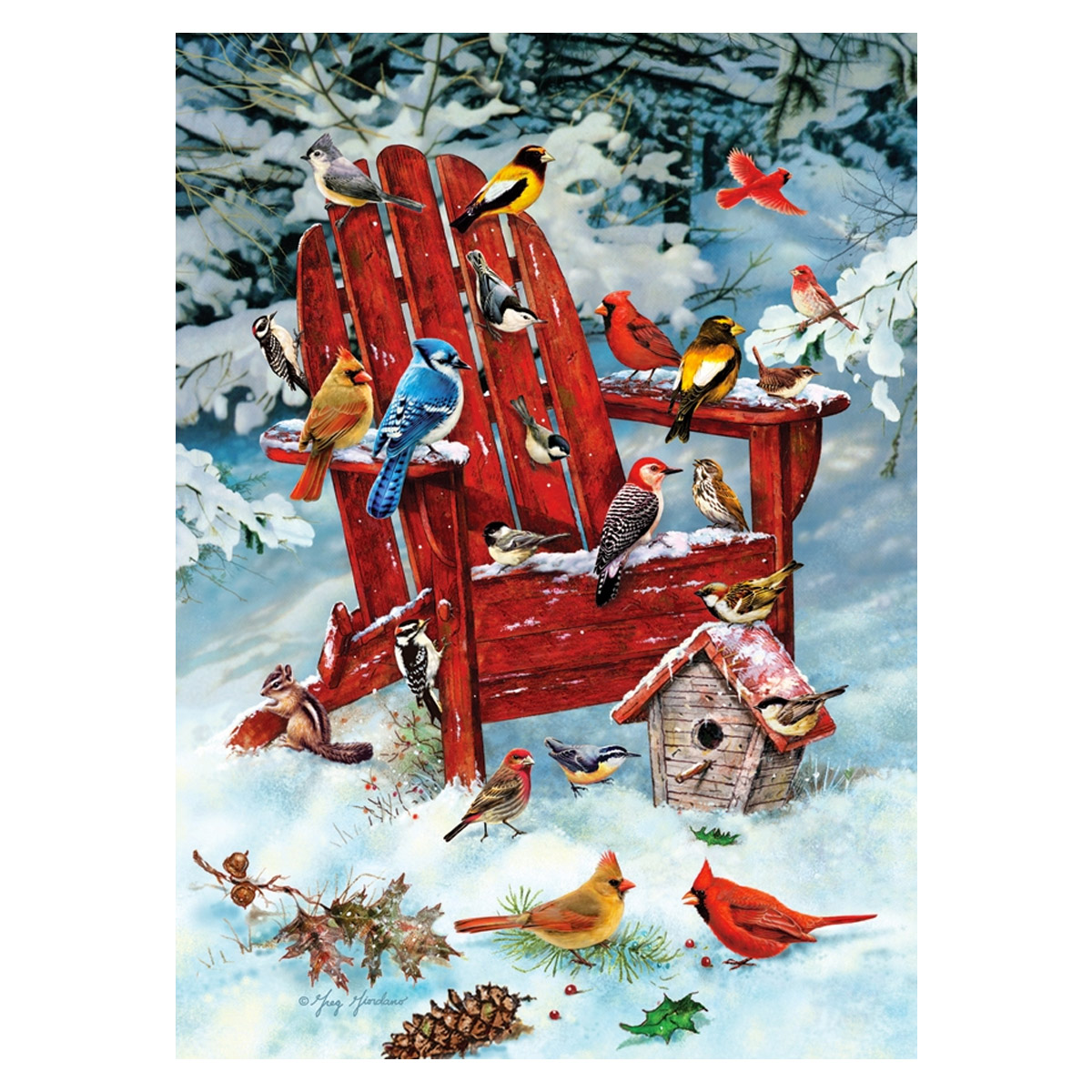 Adirondack Birds 1000 piece jigsaw, 40164