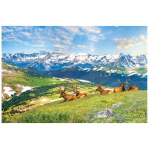 EuroGraphics HDR Collection: Mountain Elk 1000 Piece Puzzle (6000-5705)