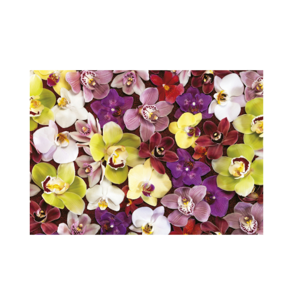 Educa Orchid Collage Puzzle Image