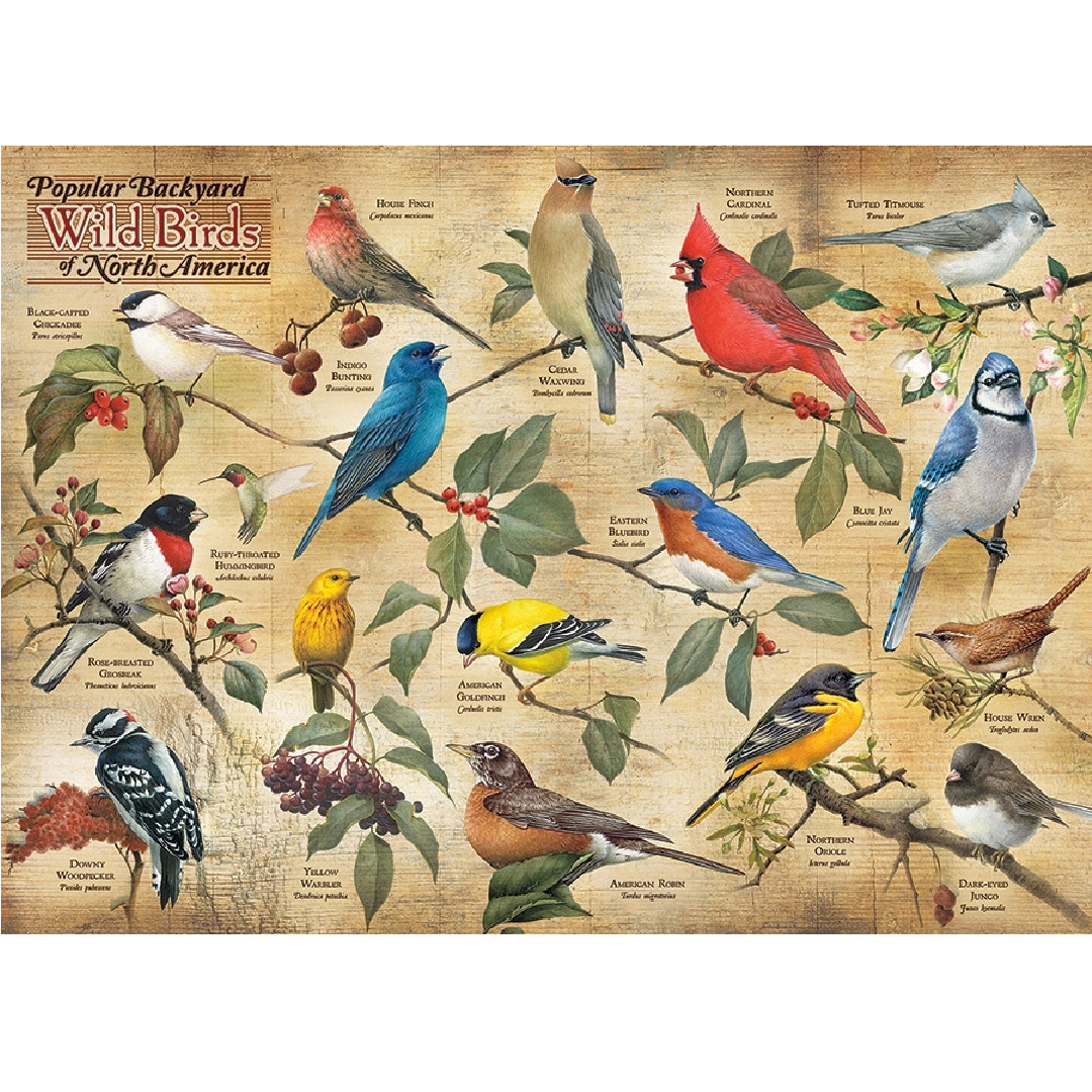 Adirondack Birds 1000 piece jigsaw, 40164