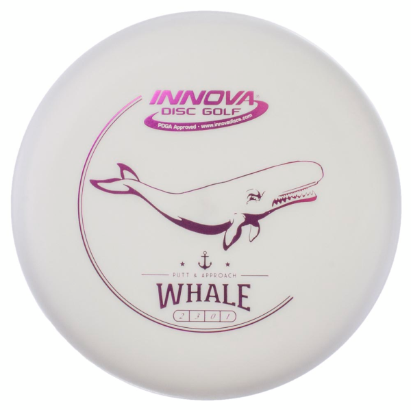 DX Whale 1000x999 6d28f94c 0407 4250 9531 cf5e3ce81b66