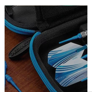 Dart Cases