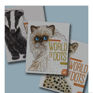 Other Cool Puzzle Books